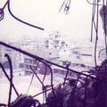 LIBAN (128)