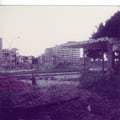 LIBAN (164)