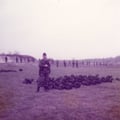 LIBAN (28)