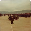 LIBAN (50)